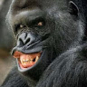 Meet your Posher, Matix